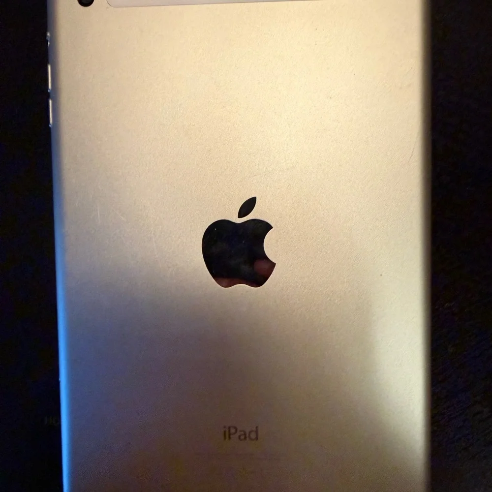 iPad Mini 3 with case included (16GB)